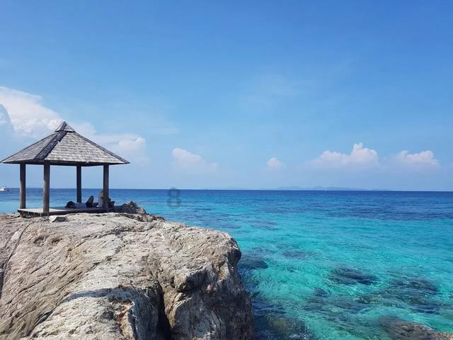 （经济观察）三峡库区如何发挥区域特色构建现代化产业体系？