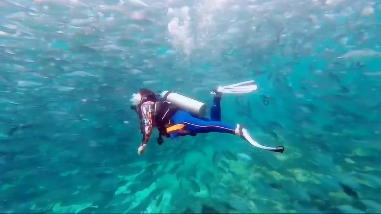 荣获全省“测绘地理 信息行业先进集体”